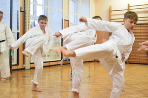 karate-udelovani-pasu 40